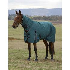 Green Horse Rugs Weatherbeeta Comfitec Classic Turnout Combo 50g - Forest Green/Black