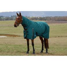 Green Horse Rugs Weatherbeeta Comfitec Classic Turnout Combo Rug - Forest Green/Bl