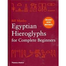 Egyptian Hieroglyphs for Complete Beginners (Hardcover, 2012)