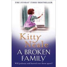 A Broken Family (Paperback, 2012)