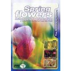 Films SPRING FOWERS