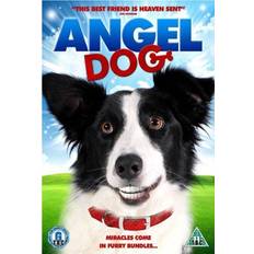 Kinderen DVD's Angel Dog (DVD)