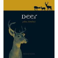 John deer Deer (Animal) (Häftad, 2013)