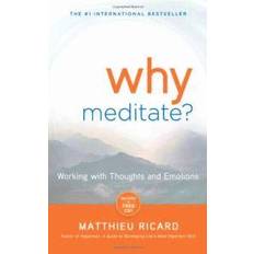 Why Meditate? [With CD (Audio)] (Lydbog, CD, 2010)