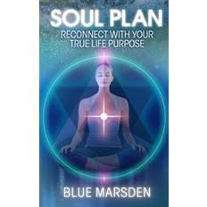 Books Soul Plan: Reconnect with Your True Life Purpose (Paperback, 2013)