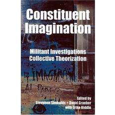 Constituent Imagination (Häftad)