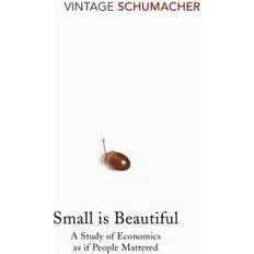Small is Beautiful (Häftad, 1993)