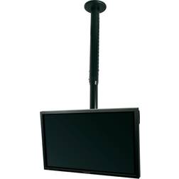 B-Tech BT8426 Montage Sur Plafond 81,3 cm (32) 127,0 cm 50 Inclinable Noir