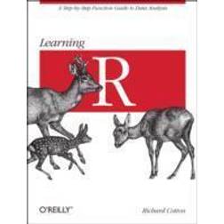 Learning R (Paperback, 2013)