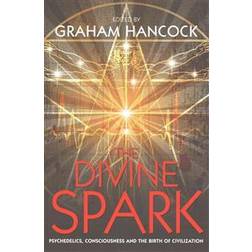 The Divine Spark (Häftad, 2015)