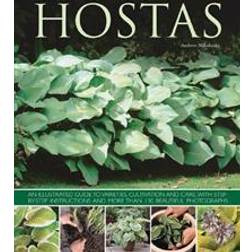 Hostas (Häftad, 2013)