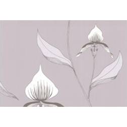 Cole & Son Orchid Wallpaper The Contemporary Collection Pale Dove Grey 9510055 Roll