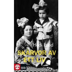 Skärvor av ett liv (E-bok)