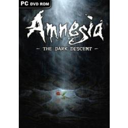 Amnesia: The Dark Descent (PC)