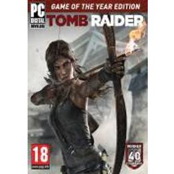 Tomb Raider: Game Of The Year Edition (PC)