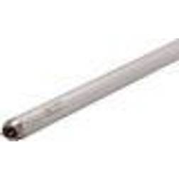 Sylvania 0000707 Fluorescent Lamp 14W G13