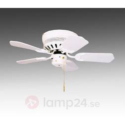 Pegro Liane Mini