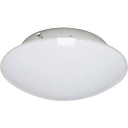Belid P2450 Lovo Takplafond ∅ 26cm