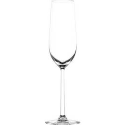 Lucaris Shanghai Soul Champagne Glass 25cl 6pcs