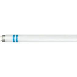 Philips Master TL-D Secura Fluorescent Lamp 36W G13 830