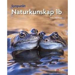 Synpunkt 1b (Kartonnage, 2016)
