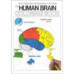 The Human Brain Coloring Book (Coloring Concepts Series) (Paperback, 1985)