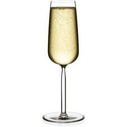 Iittala Senta Champagne Glass 21cl