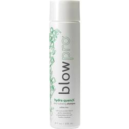 BlowPro Hydra Quench Daily Hydrating Shampoo 50ml