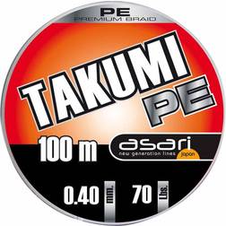 Asari Takumi PE 0.14mm 10x100m