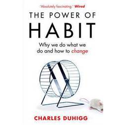 The Power of Habit: Why We Do What We Do, and How to Change (Paperback, 2013)