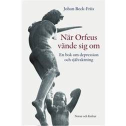 När Orfeus vände sig om: En bok om depression som förlorad självaktning (Inbunden)