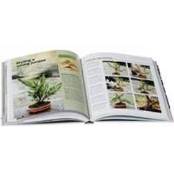 Bonsai (Hardcover, 2014)
