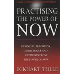 Practising the Power of Now (Hæftet, 2002)