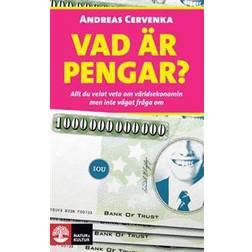 Vad är pengar?: allt du velat veta om världsekonomin men inte vågat fråga om (Häftad)