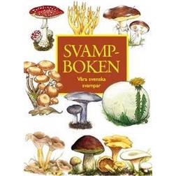 Svampboken: våra svenska svampar (Häftad)