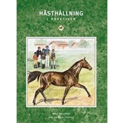 Hästhållning i praktiken (Häftad)