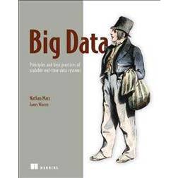 Big Data: Principles and Best Practices of Scalable Realtime Data Systems (Häftad, 2015)