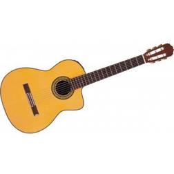Takamine TH5C