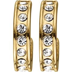 Dyrberg/Kern Desolo Creol Earrings - Gold