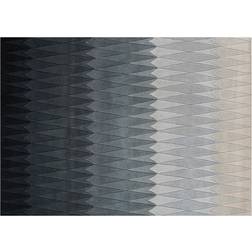 Linie Design Acacia Beige, Grå 170x240cm