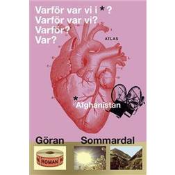 Varför var vi i Afghanistan? (Inbunden)