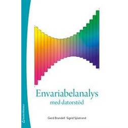Envariabelanalys med datorstöd (Häftad)