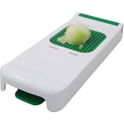 Alligator Onion