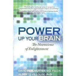 power up your brain (Paperback, 2012)