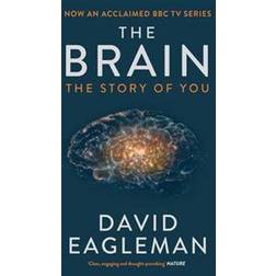 The Brain: The Story of You (Paperback, 2016)