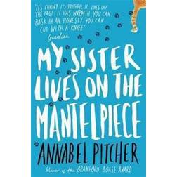 My Sister Lives on the Mantelpiece (Paperback, 2013)