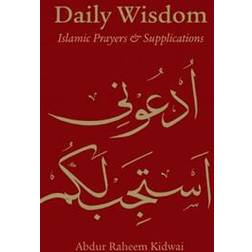Daily Wisdom (Hardcover, 2013)