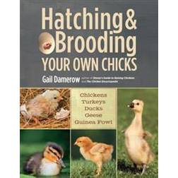 Hatching & Brooding Your Own Chicks (Paperback, 2013)