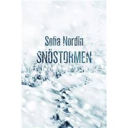 Snöstormen (Ljudbok, 2015)