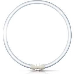 Philips T5 Fluorescent Lamp 55W 2GX13